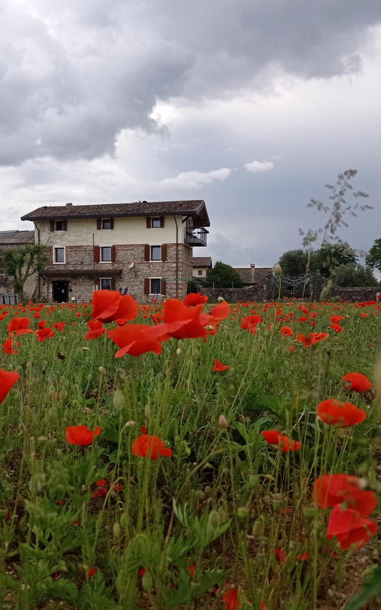 Casal Micelio Villa Udine Ngoại thất bức ảnh